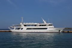 D17A5619
