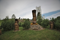 D17A9256