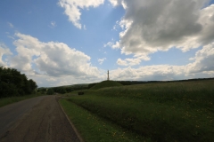D17A4634