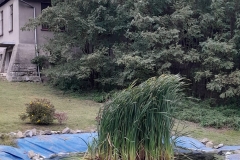 IMG-20230201-WA0099-1